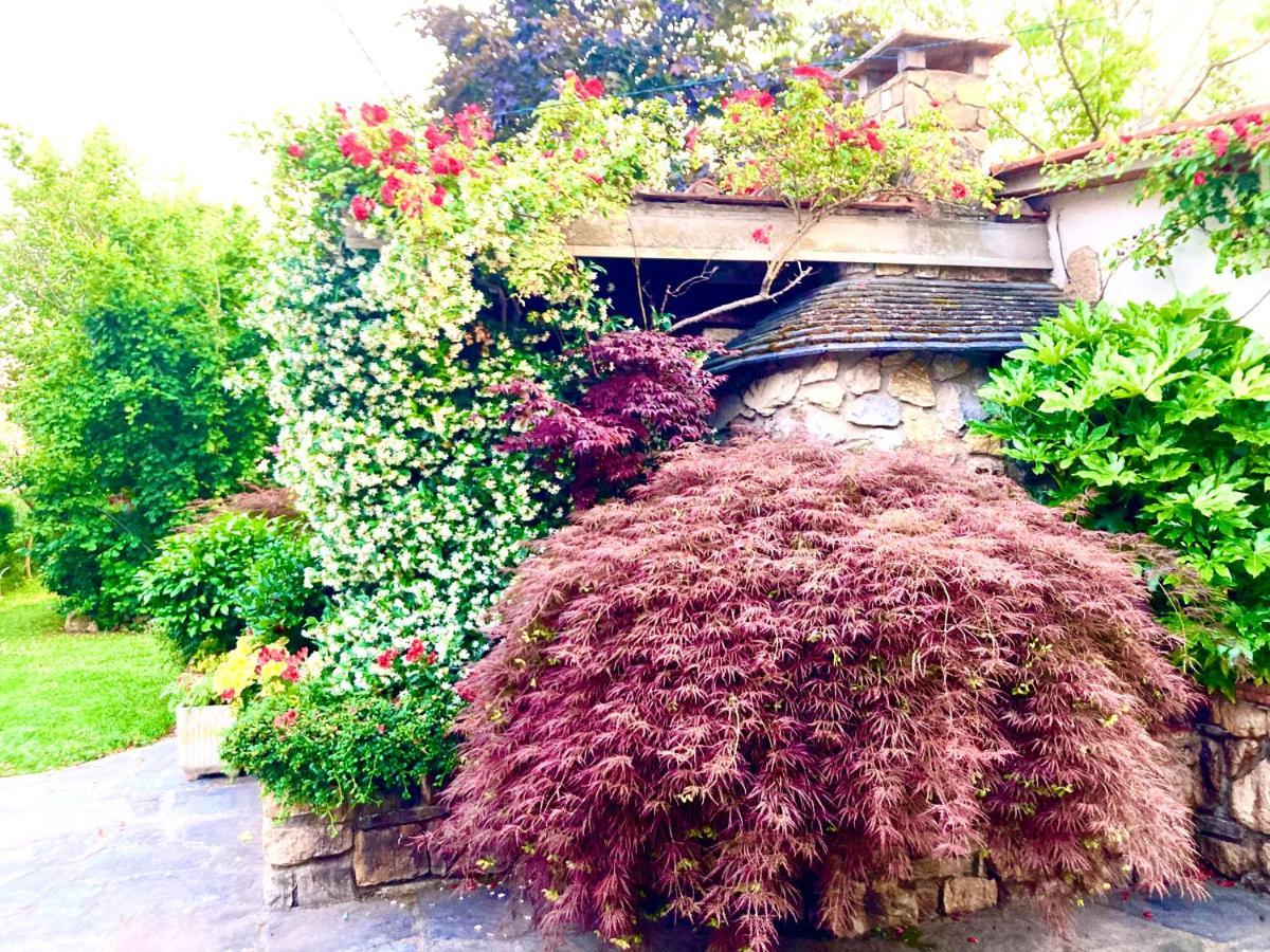 Pieve a Nievole Tuscany To Love - Holiday Home - Casa Vacanze מראה חיצוני תמונה